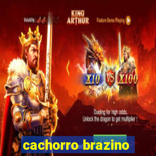 cachorro brazino